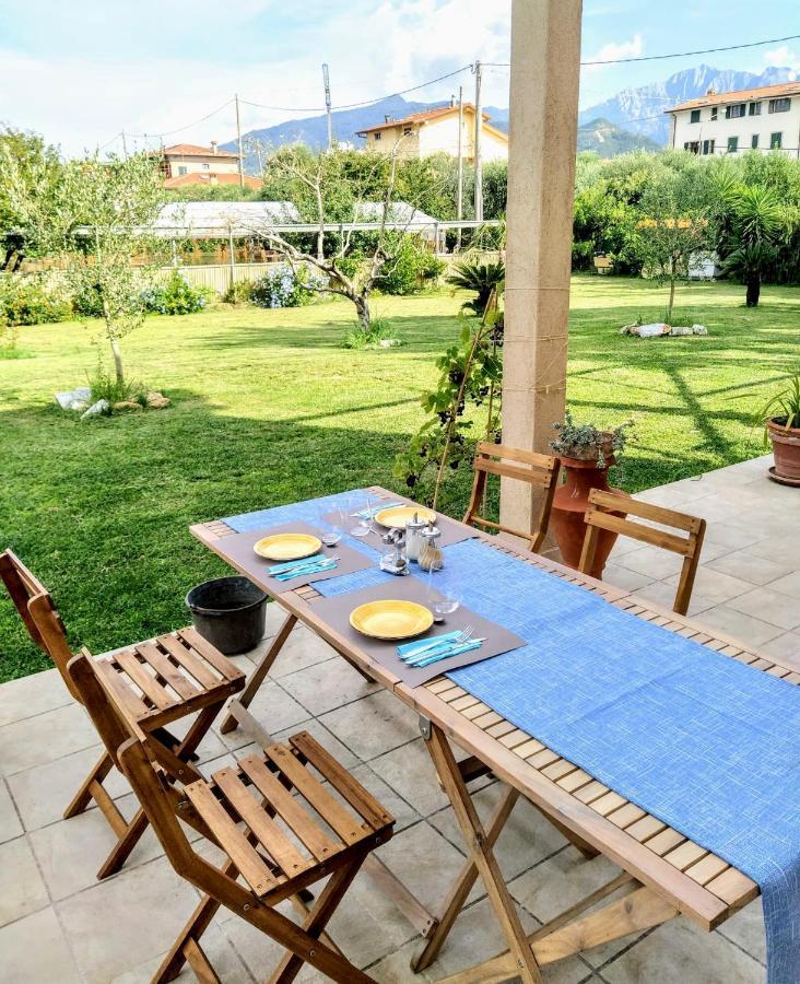 Agriturismo La Vite Maritata Pietrasanta Eksteriør billede