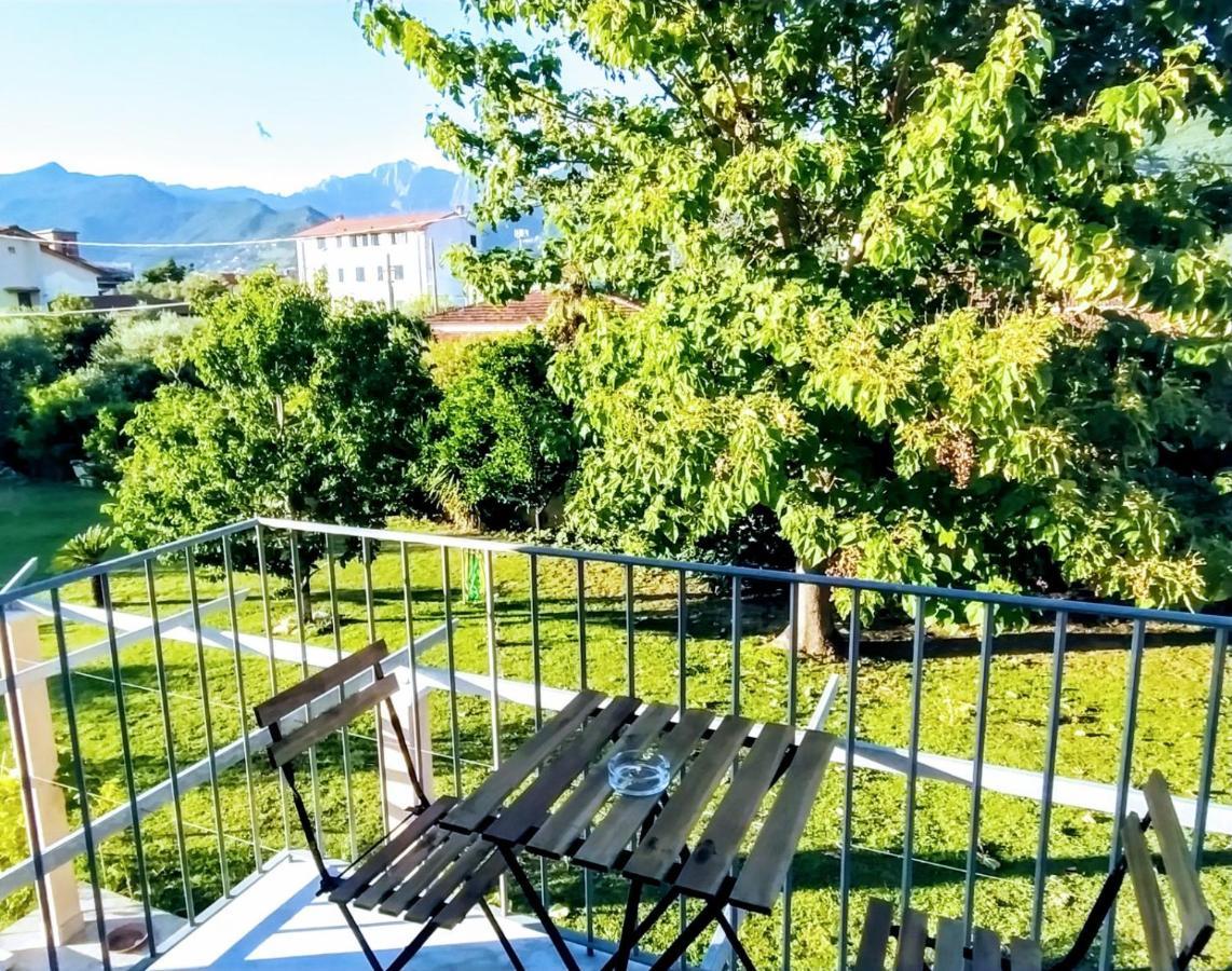 Agriturismo La Vite Maritata Pietrasanta Eksteriør billede